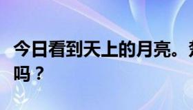 今日看到天上的月亮。楚原是西纳普斯的天使吗？