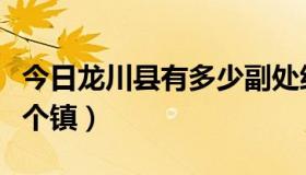 今日龙川县有多少副处级领导（龙川县有多少个镇）