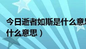 今日逝者如斯是什么意思呢（“逝者如斯”是什么意思）