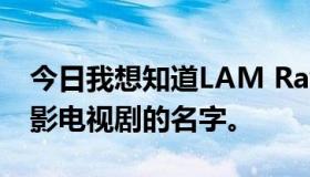 今日我想知道LAM Raymond演过的所有电影电视剧的名字。