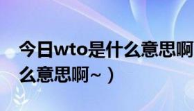 今日wto是什么意思啊网络用语（WTO是什么意思啊~）