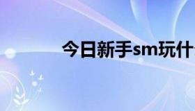 今日新手sm玩什么比较容易？