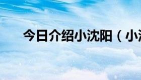 今日介绍小沈阳（小沈阳的详细资料）