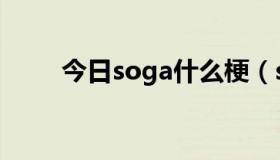 今日soga什么梗（soga什么意思）