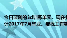 今日蓝鸥的3d训练单元。现在找工作容易吗？前景如何？预计2017年7月毕业。那找工作容易吗？