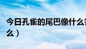 今日孔雀的尾巴像什么答案（孔雀的尾巴像什么）