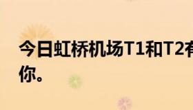 今日虹桥机场T1和T2有什么区别？跪下感谢你。