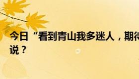 今日“看到青山我多迷人，期待青山也看到我”这个词怎么说？