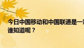 今日中国移动和中国联通是一家公司吗？听说老板是女的。谁知道呢？