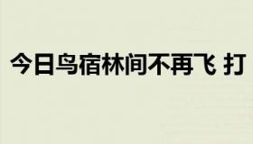 今日鸟宿林间不再飞 打《三国演义》人名一