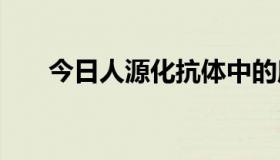 今日人源化抗体中的所有人源化抗体。