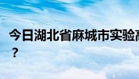 今日湖北省麻城市实验高中和麻城二中哪个好？