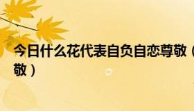 今日什么花代表自负自恋尊敬（什么花代表自负、自恋、尊敬）