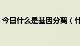 今日什么是基因分离（什么是基因分离定律）