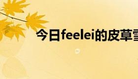 今日feelei的皮草雪地靴怎么样？