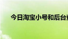 今日淘宝小号和后台查询是什么意思？