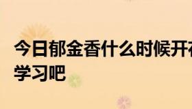 今日郁金香什么时候开花，怎么种，大家一起学习吧