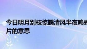 今日明月别枝惊鹊清风半夜鸣蝉稻花香里说丰年听取蛙声一片的意思