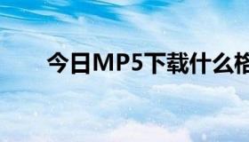 今日MP5下载什么格式的电影最好？