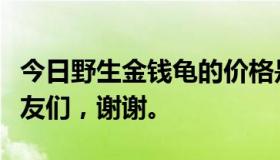 今日野生金钱龟的价格是多少？请转告我的朋友们，谢谢。