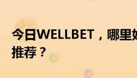 今日WELLBET，哪里好用？为什么这么多人推荐？