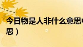 今日物是人非什么意思中文（物是人非什么意思）