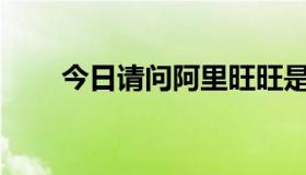 今日请问阿里旺旺是零售还是批发？