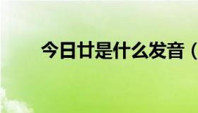 今日廿是什么发音（廿是什么意思）