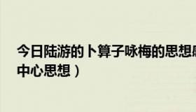 今日陆游的卜算子咏梅的思想感情（陆游的卜算子 咏梅 的中心思想）