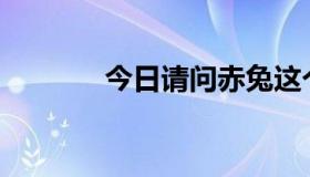 今日请问赤兔这个词是什么？