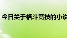 今日关于格斗竞技的小说（关于格斗天王套）