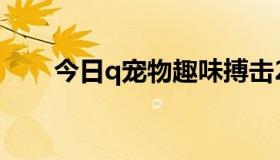 今日q宠物趣味搏击2什么技能最好？