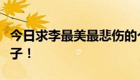 今日求李最美最悲伤的个性签名，谈谈心情句子！