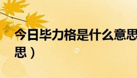 今日毕力格是什么意思（斯琴毕力格 什么意思）