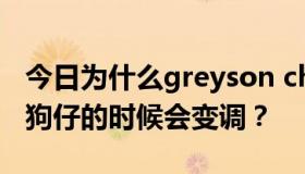 今日为什么greyson chance在快乐大本营唱狗仔的时候会变调？