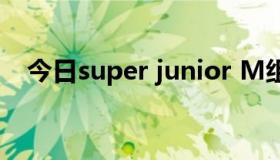 今日super junior M组合的缩写是什么？