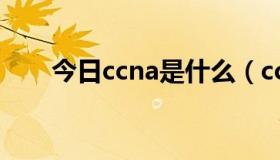 今日ccna是什么（ccna是什么意思）