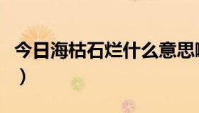 今日海枯石烂什么意思啊（海枯石烂什么意思）