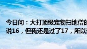 今日问：大打顶级宠物扫地僧的最高初始属性是什么？有人说16，但我还是过了17，所以想知道。