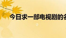 今日求一部电视剧的名字，于荣光主演