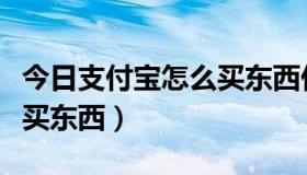 今日支付宝怎么买东西付款方式（支付宝怎么买东西）