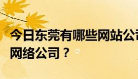 今日东莞有哪些网站公司想找一些正规专业的网络公司？