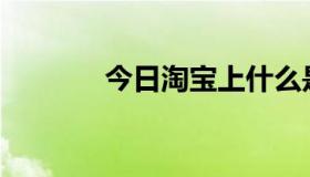 今日淘宝上什么是免费试用？