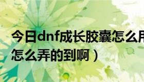 今日dnf成长胶囊怎么用不了（DNF免疫胶囊怎么弄的到啊）