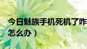 今日魅族手机死机了咋办（魅族2手机死机了怎么办）