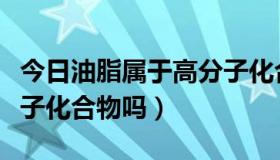 今日油脂属于高分子化合物吗（油脂属于高分子化合物吗）