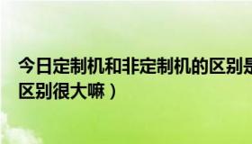 今日定制机和非定制机的区别是什么（定制机和非定制机的区别很大嘛）