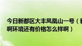 今日新都区大丰凤凰山一号（新都大丰的凤凰山1号怎么样啊环境还有价格怎么样啊）