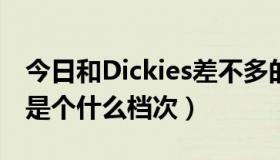 今日和Dickies差不多的品牌（DICKIES大概是个什么档次）