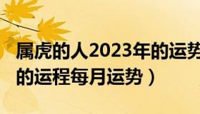 属虎的人2023年的运势及运程（2019年属虎的运程每月运势）